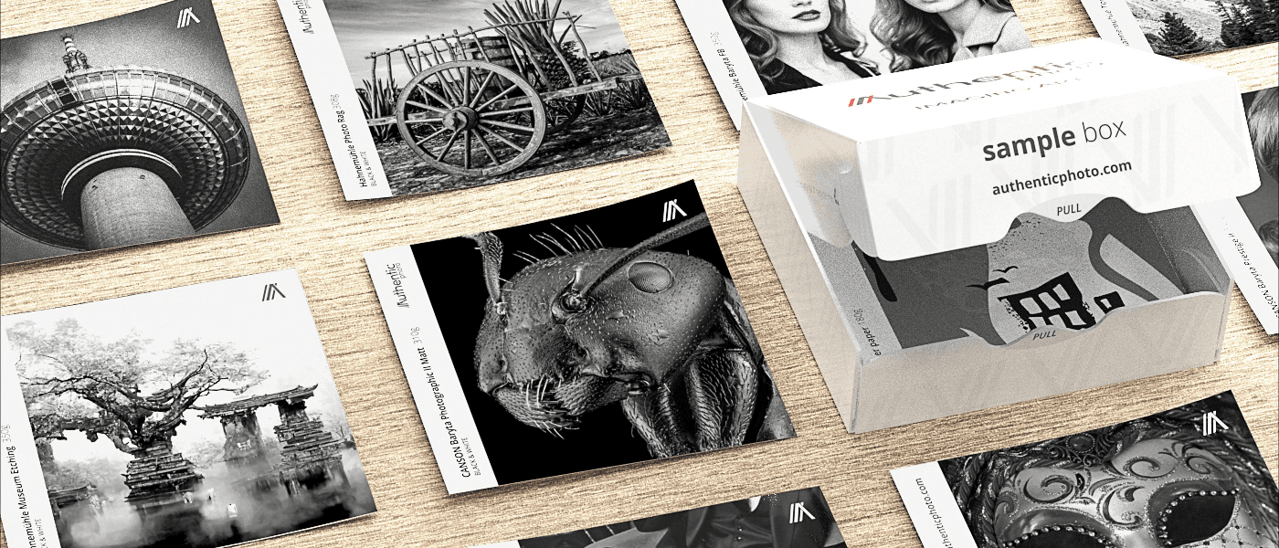 Black-and-white fine art sample set with branded box and monochrome samples on a wooden surface