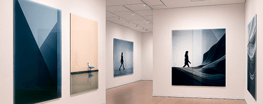 Gallery interior with several Acrylux acrylic photo prints displayed on white walls