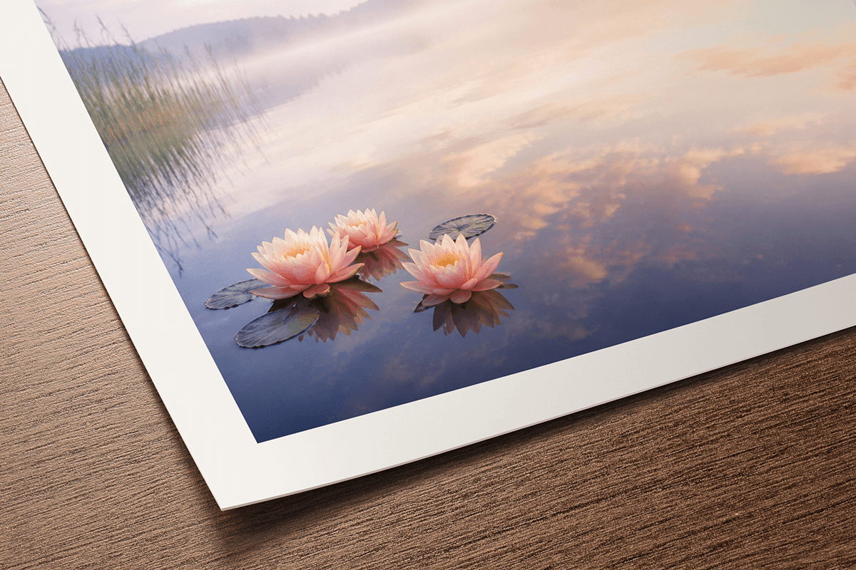 Fine art print on Photo Rag Ultra Smooth paper showing pink water lilies floating on a calm lake at dawn, exceptionally smooth matte surface
